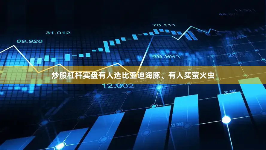 炒股杠杆实盘有人选比亚迪海豚、有人买萤火虫