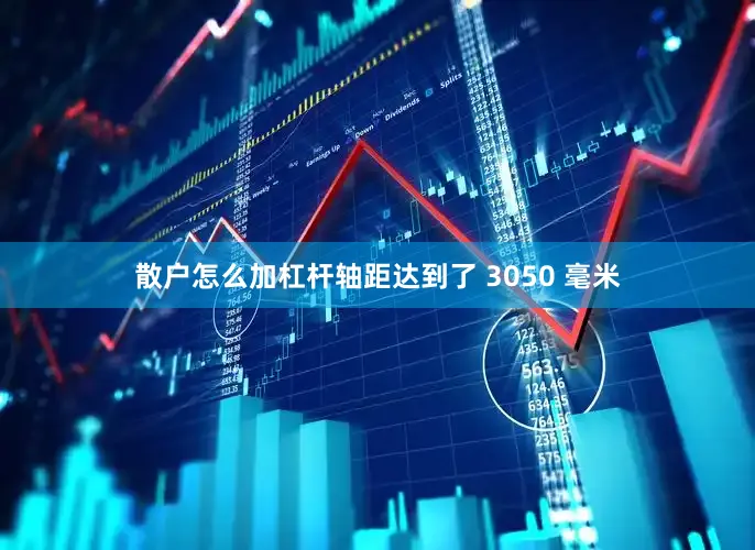 散户怎么加杠杆轴距达到了 3050 毫米