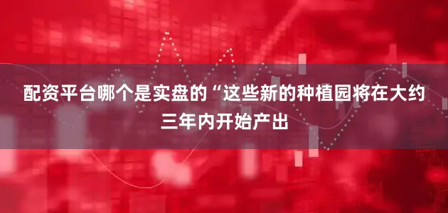 配资平台哪个是实盘的　　“这些新的种植园将在大约三年内开始产出