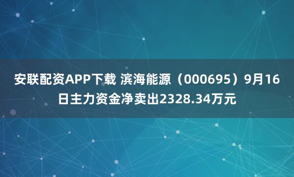 安联配资APP下载 滨海能源（000695）9月16日主力资金净卖出2328.34万元