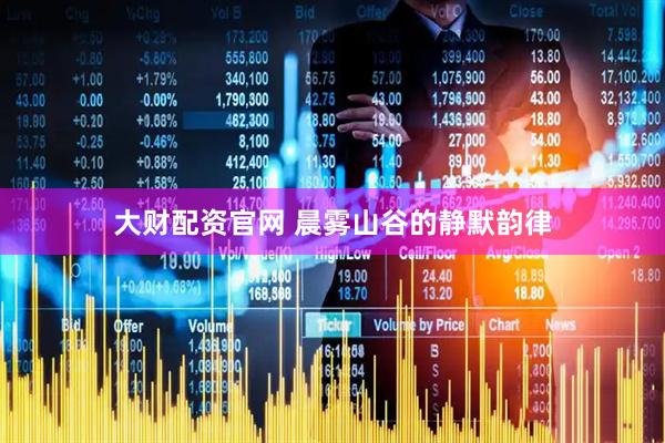 大财配资官网 晨雾山谷的静默韵律
