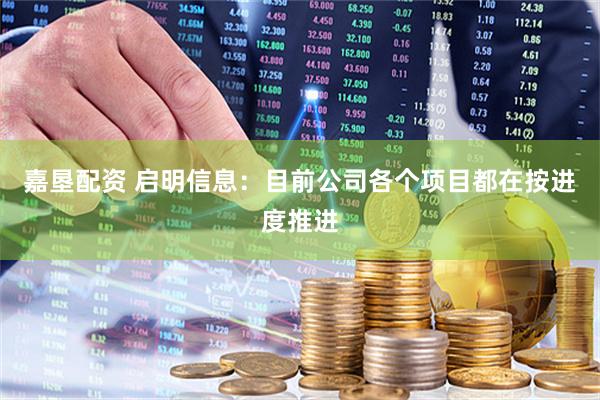 嘉垦配资 启明信息：目前公司各个项目都在按进度推进